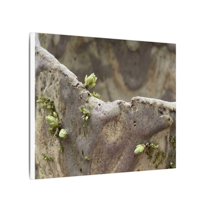 Overcast Ceramic Bowl Canvas Art - Japandi Fukinsei