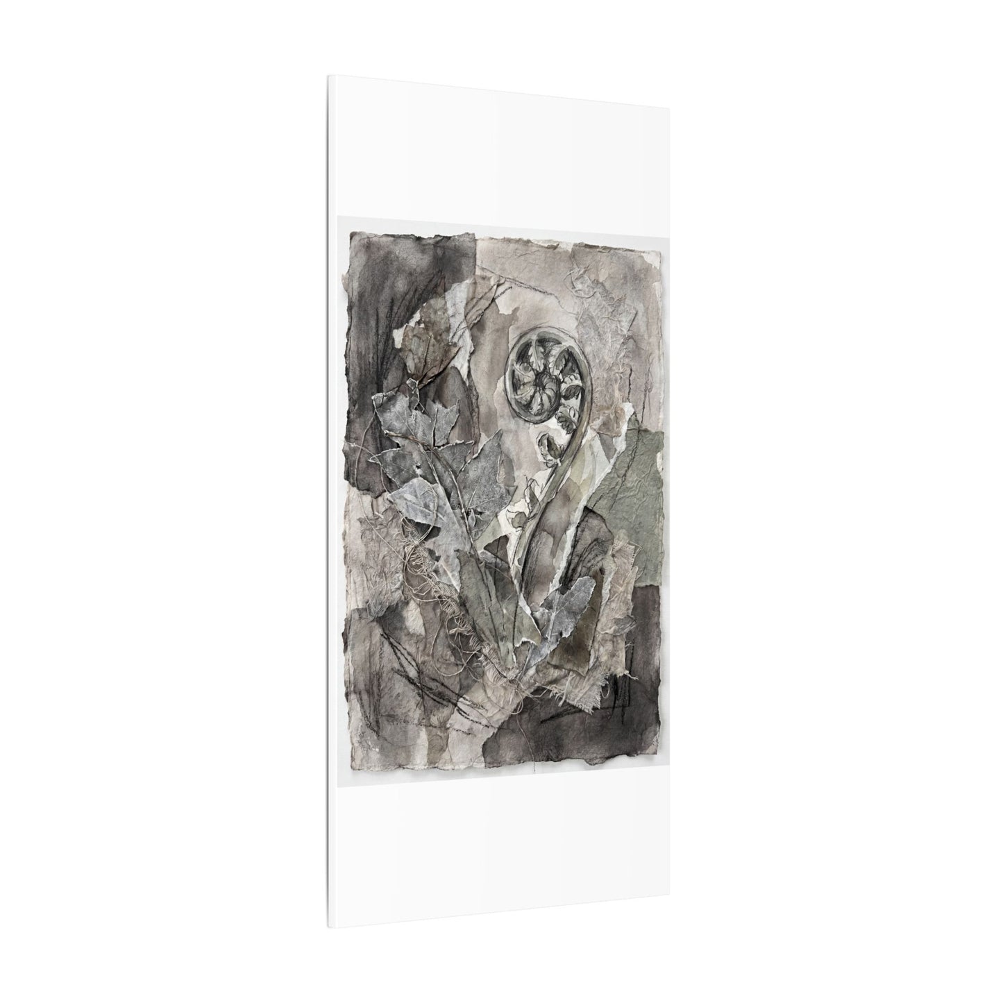 Japandi Fern Unfurling in Overcast | Texture Canvas Art