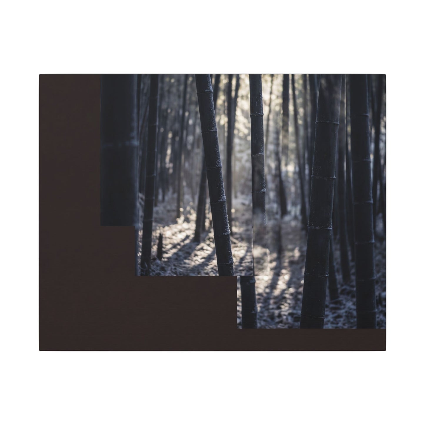 Bamboo Grove Canvas Art | Winter Dark Japandi Moody Minimal Art