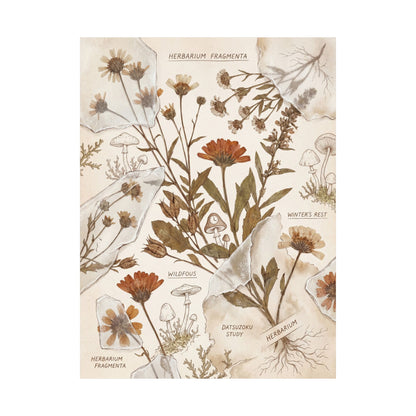 Winter Dried Flowers Herbarium Wall Art Print | Rustic Decor