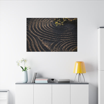 Spring Rock Garden Shadow Zen Canvas Art | Atmospheric Decor