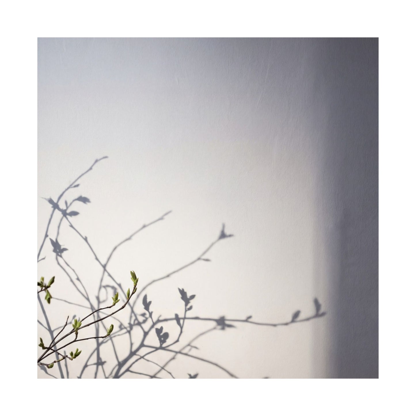 Japandi Shadow Play in Dawn | Japanese Pattern Wall Art Print