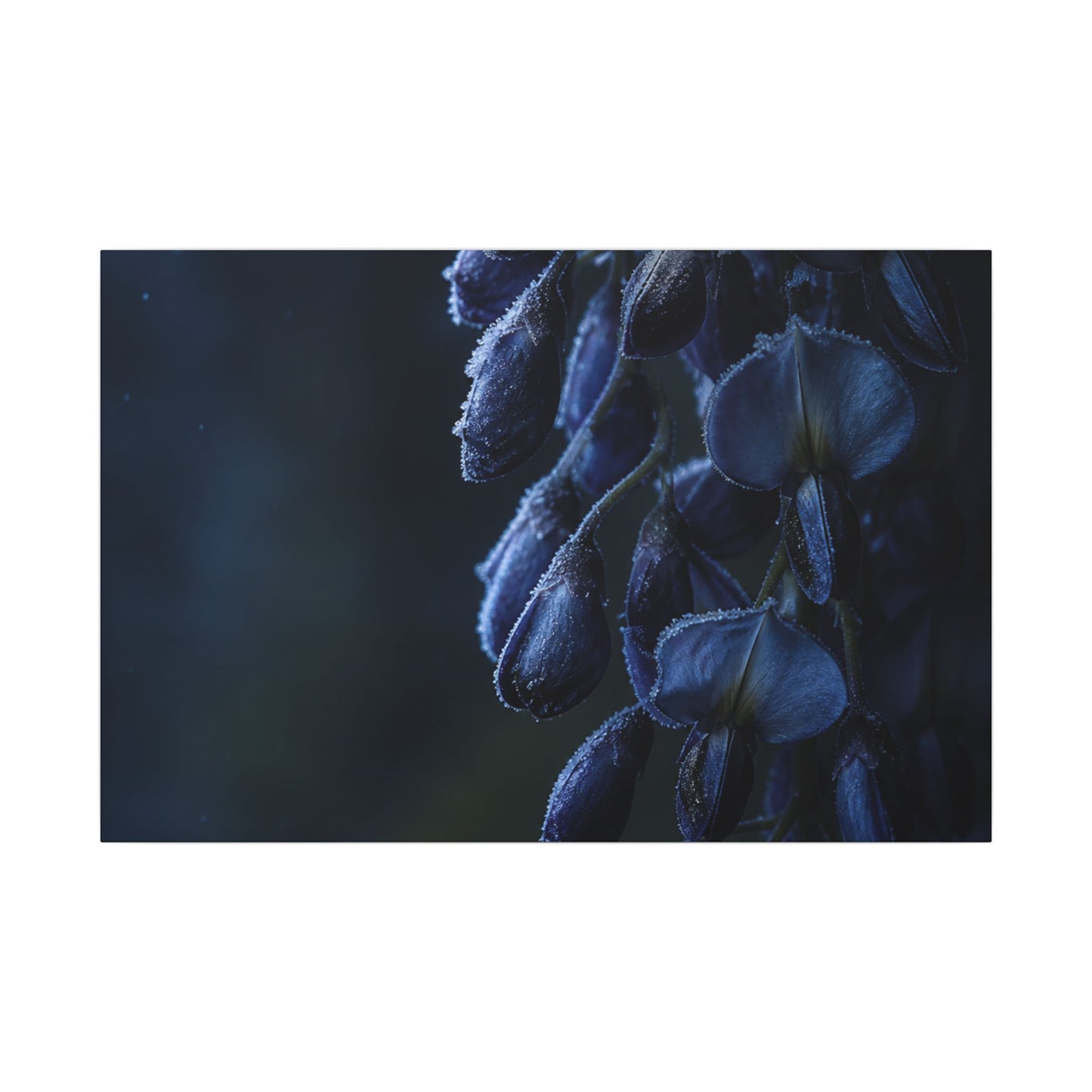 Winter Wisteria Shadow Zen Canvas Art | Atmospheric Decor