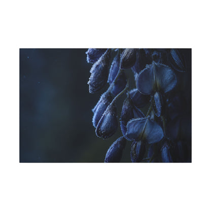 Winter Wisteria Shadow Zen Canvas Art | Atmospheric Decor