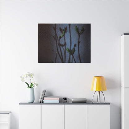 Shadow Play Spring Canvas Art | Dark Japandi Sophisticated Design