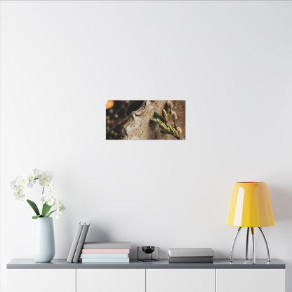 Overcast Ceramic Bowl Canvas Art - Japandi Ma