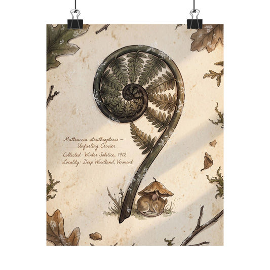 Fern Unfurling Herbarium Wall Art Print | Rustic Cottagecore Art