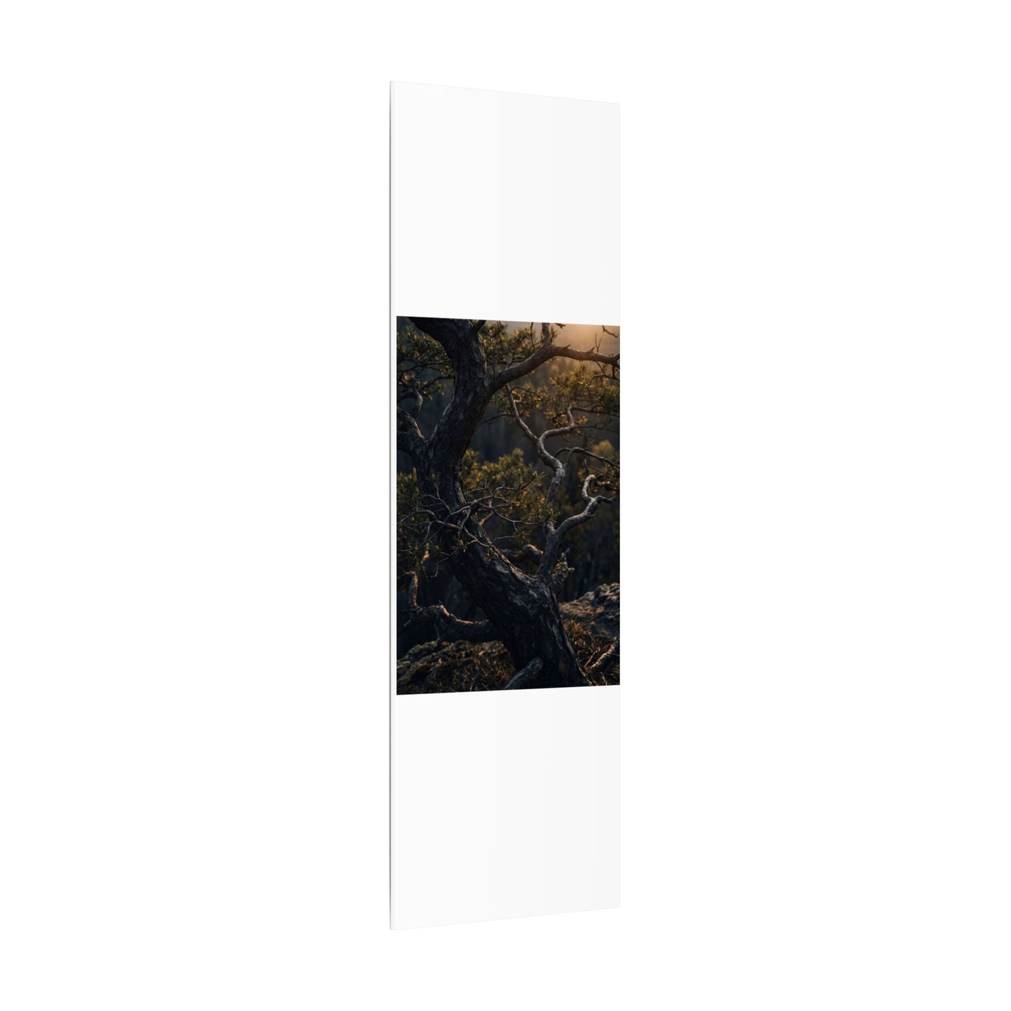 Moody Pine Tree Canvas Art - Moody Minimal Dark Japandi