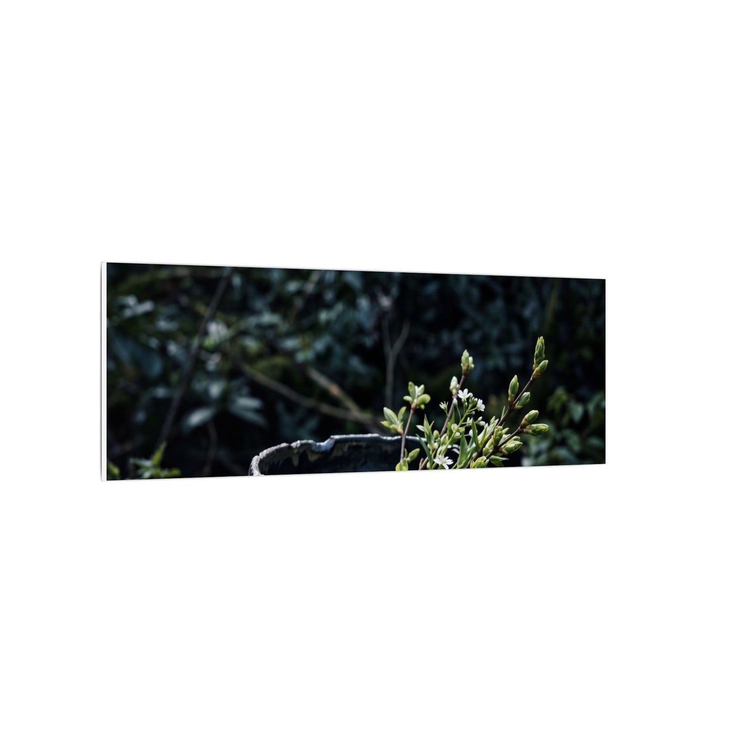 Dappled Ceramic Bowl Canvas Art - Dark Japandi Datsuzoku