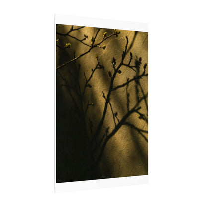 Golden Hour Shadow Play Canvas Art - Dark Japandi Seijaku