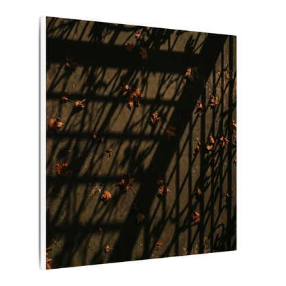 Shadow Play Canvas Art | Autumn Dark Japandi Moody Minimal Art
