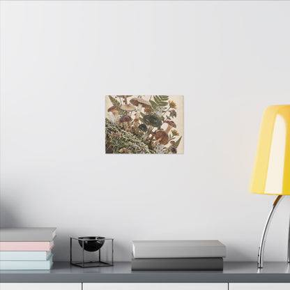 Winter Wild Mushrooms Herbarium Canvas Art | Enchanting Decor