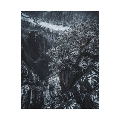 Dark Japandi Pine Tree in Dappled | Dark Texture Canvas Art