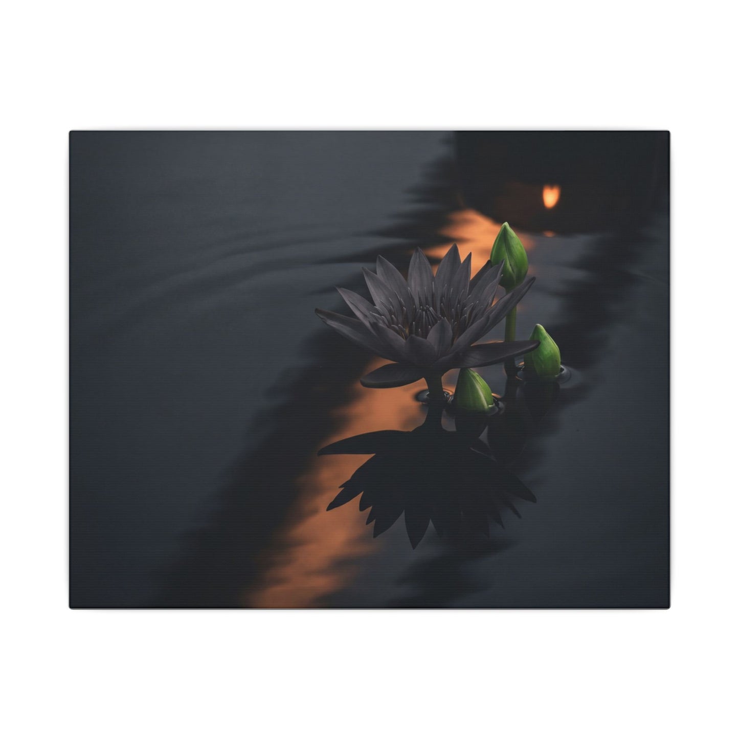 Seijaku Lotus Flower Canvas Art - Dark Japandi Shadow Zen