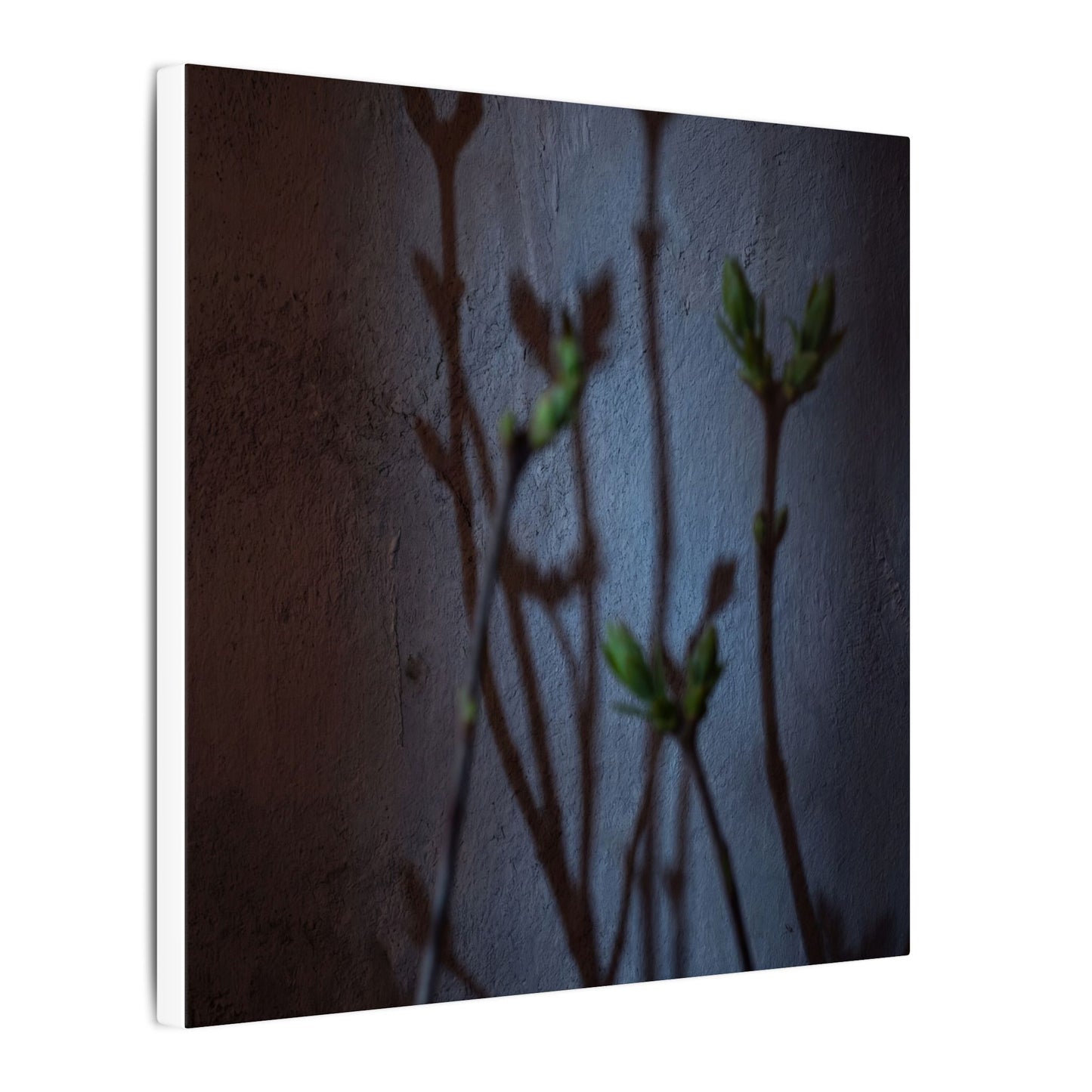 Shadow Play Spring Canvas Art | Dark Japandi Sophisticated Design
