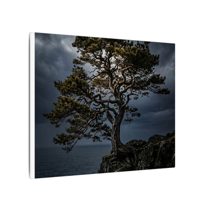 Dappled Pine Tree Canvas Art - Dark Japandi Fukinsei