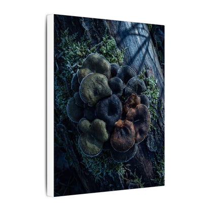 Wild Mushrooms Moody Minimal Canvas Art | Moody Dark Japandi Art
