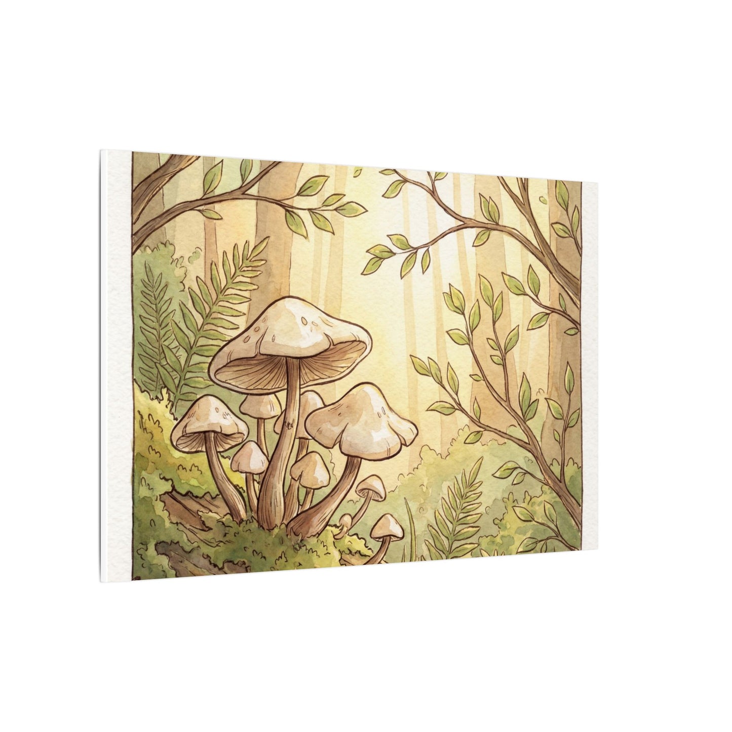 Spring Wild Mushrooms Mushroom Illustration Canvas Art | Cozy Decor