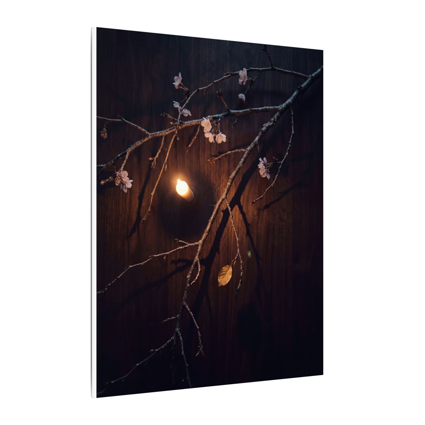 Datsuzoku Cherry Blossom Canvas Art - Dark Japandi Moody Minimal