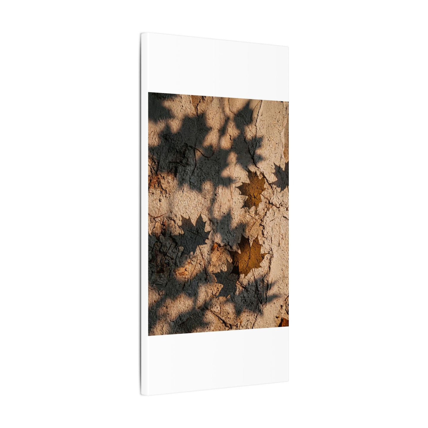 Cozy Shadow Play Canvas Art - Texture Japandi