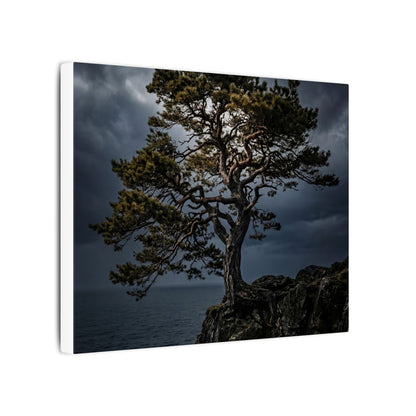 Dappled Pine Tree Canvas Art - Dark Japandi Fukinsei