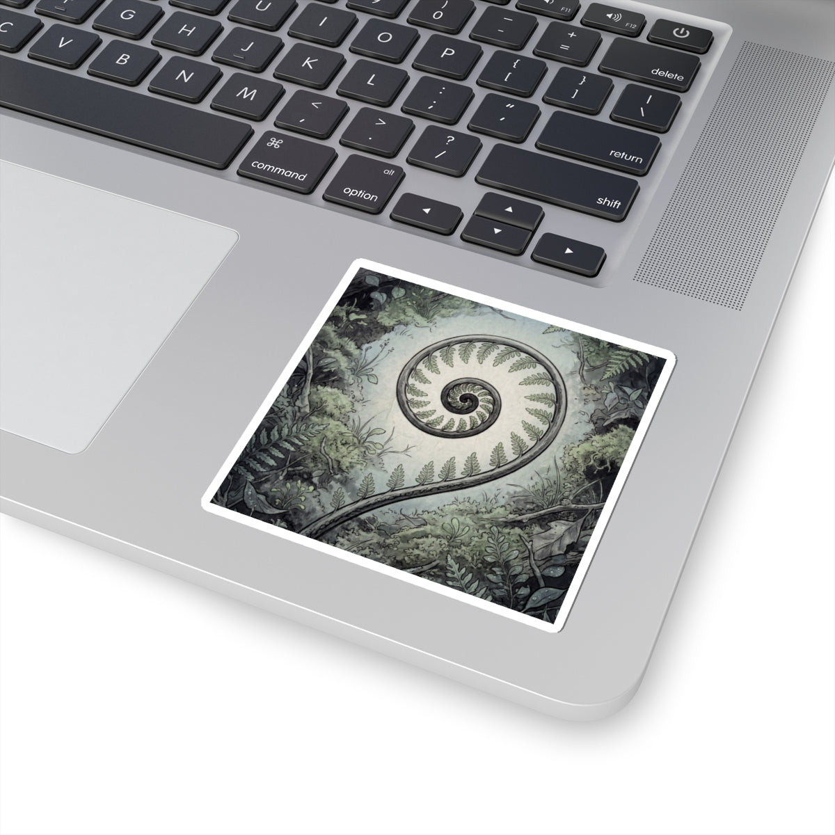 Dawn Fern Unfurling Sticker - Zen Seijaku Art Print