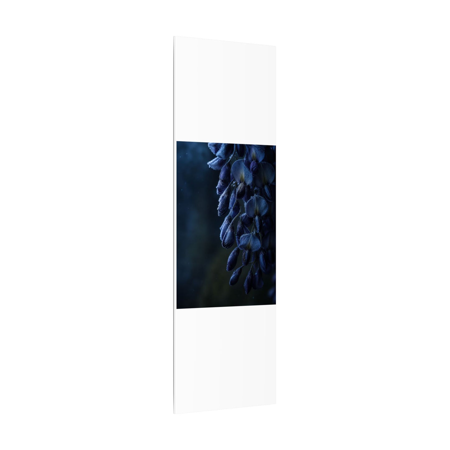 Winter Wisteria Shadow Zen Canvas Art | Atmospheric Decor