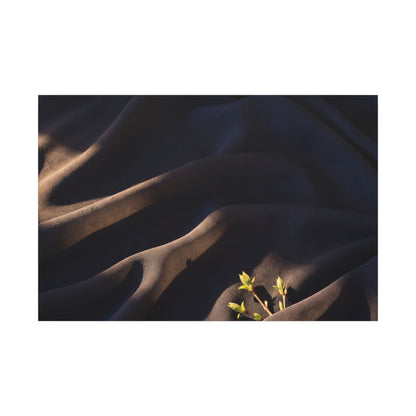 Silk Drape Shadow Zen Canvas Art | Luxurious Dark Japandi Art Art Print