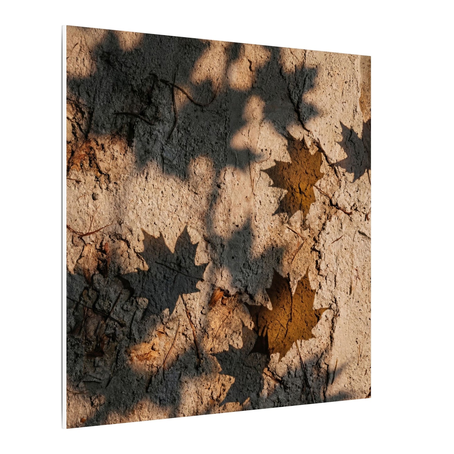 Cozy Shadow Play Canvas Art - Texture Japandi