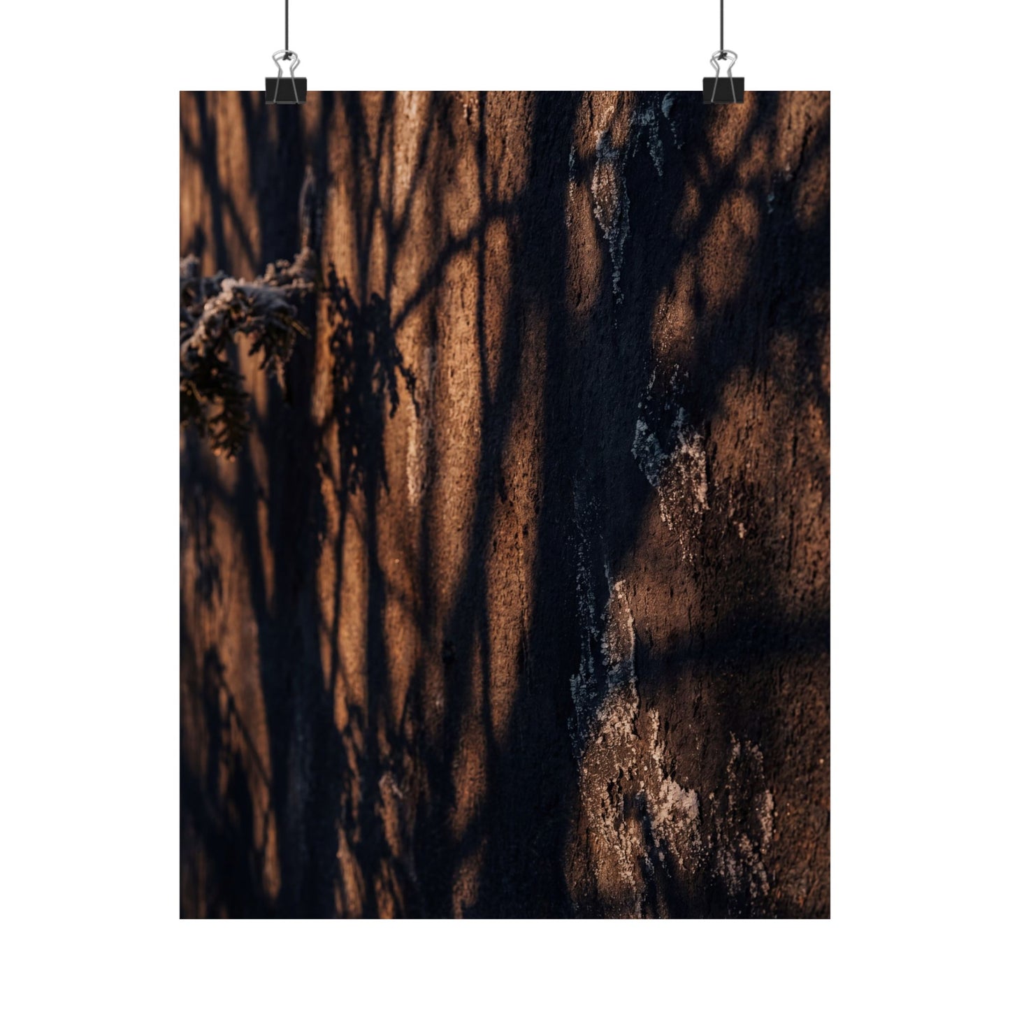 Shadow Play Wall Art Print | Winter Dark Japandi Moody Minimal Art Art Print