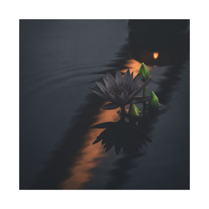 Seijaku Lotus Flower Canvas Art - Dark Japandi Shadow Zen
