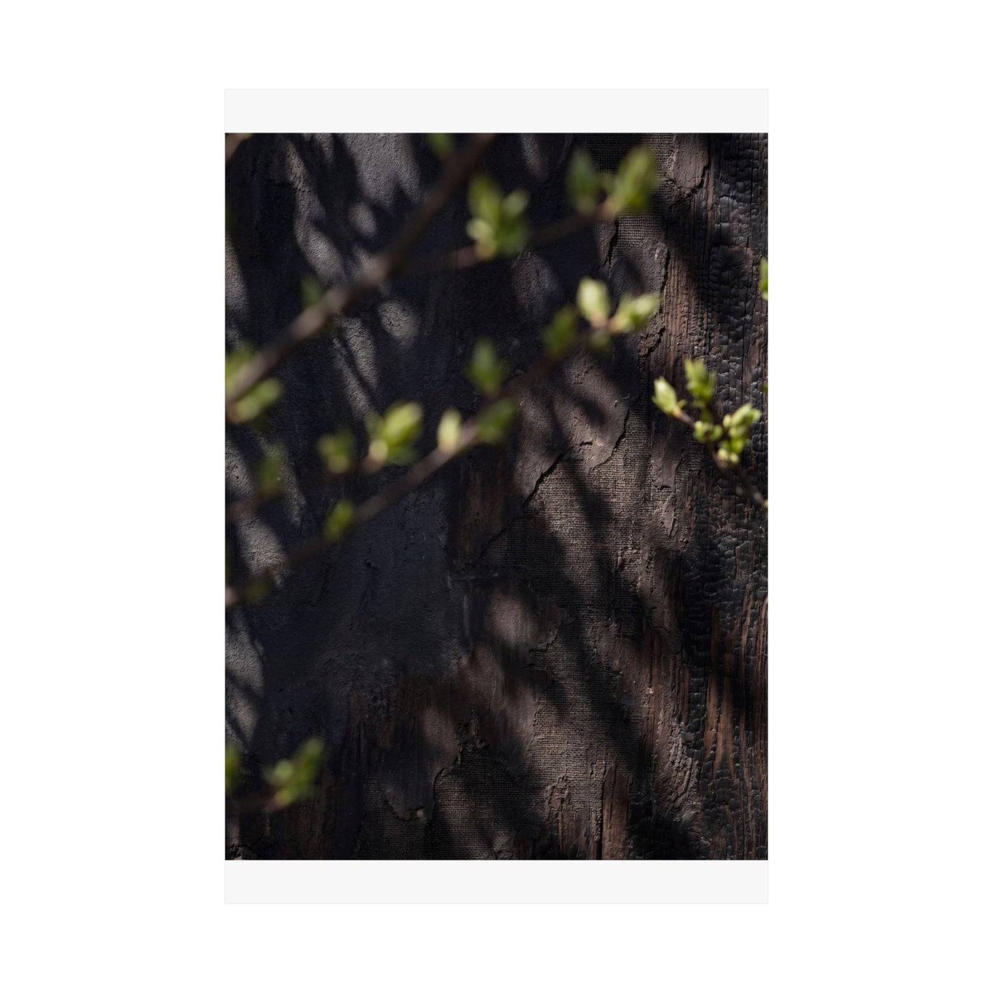 Shadow Play Dark Texture Wall Art Print | Atmospheric Dark Japandi Art
