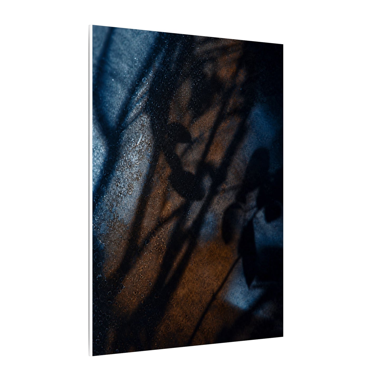 Moonlight Shadow Play Canvas Art - Dark Japandi Ma