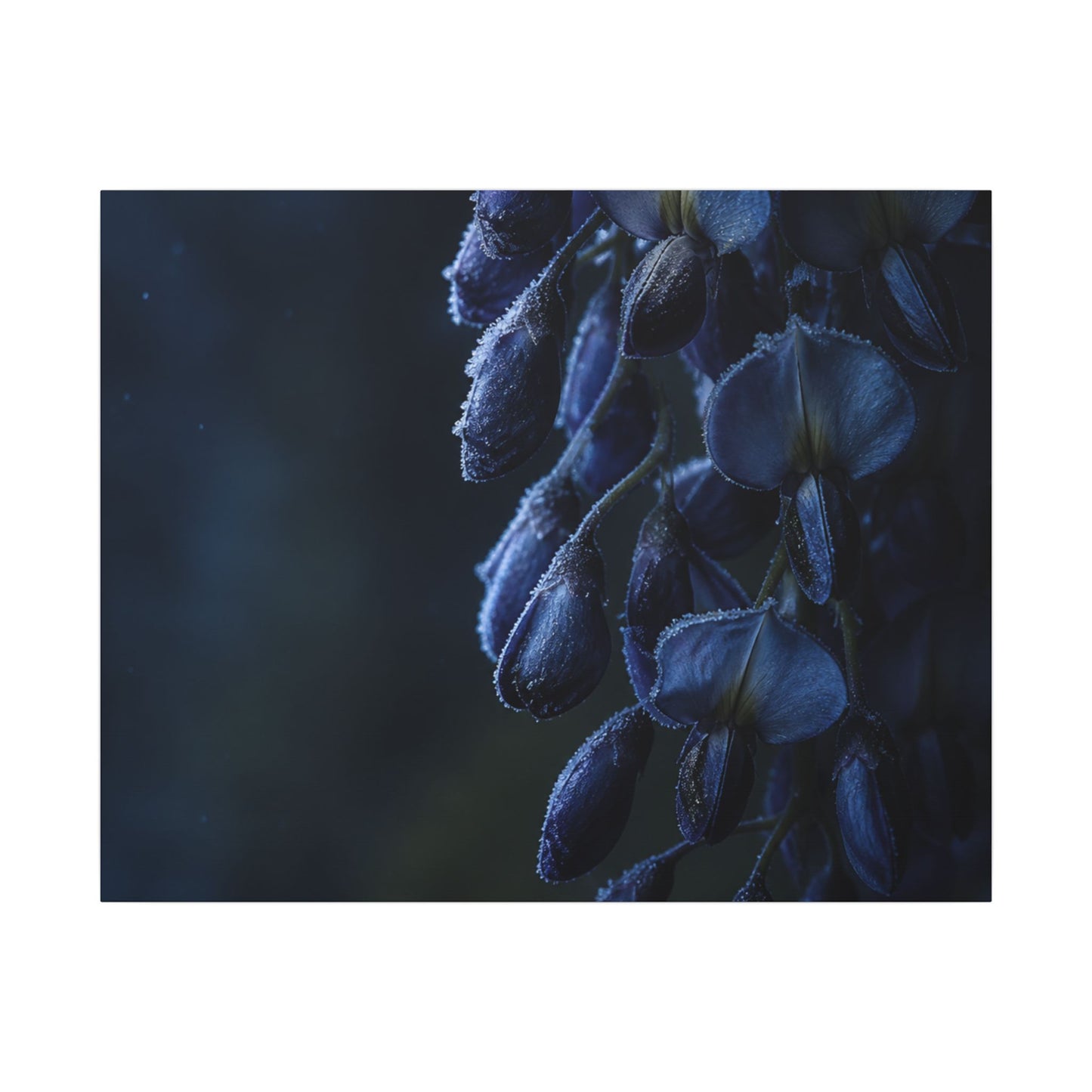 Winter Wisteria Shadow Zen Canvas Art | Atmospheric Decor