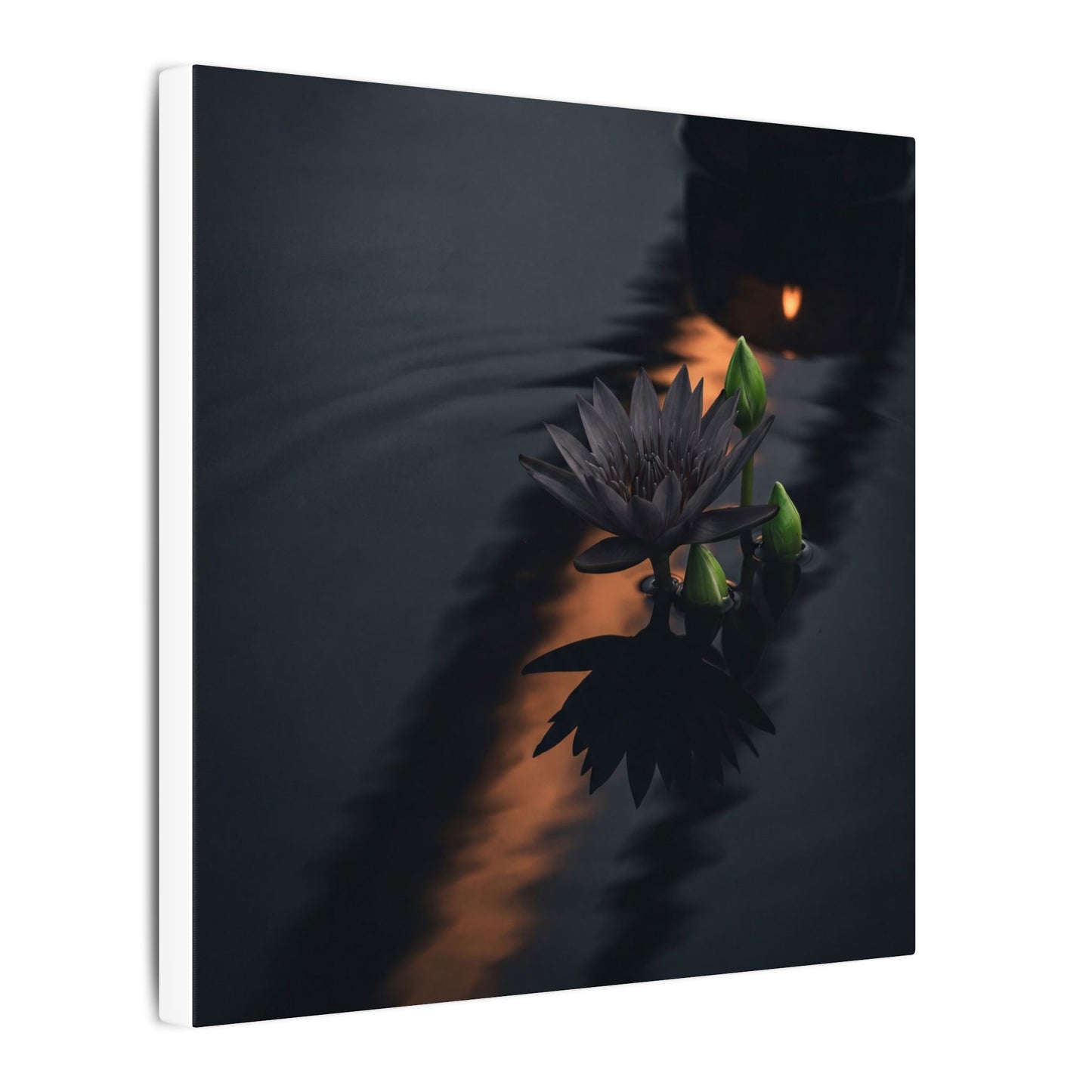 Seijaku Lotus Flower Canvas Art - Dark Japandi Shadow Zen