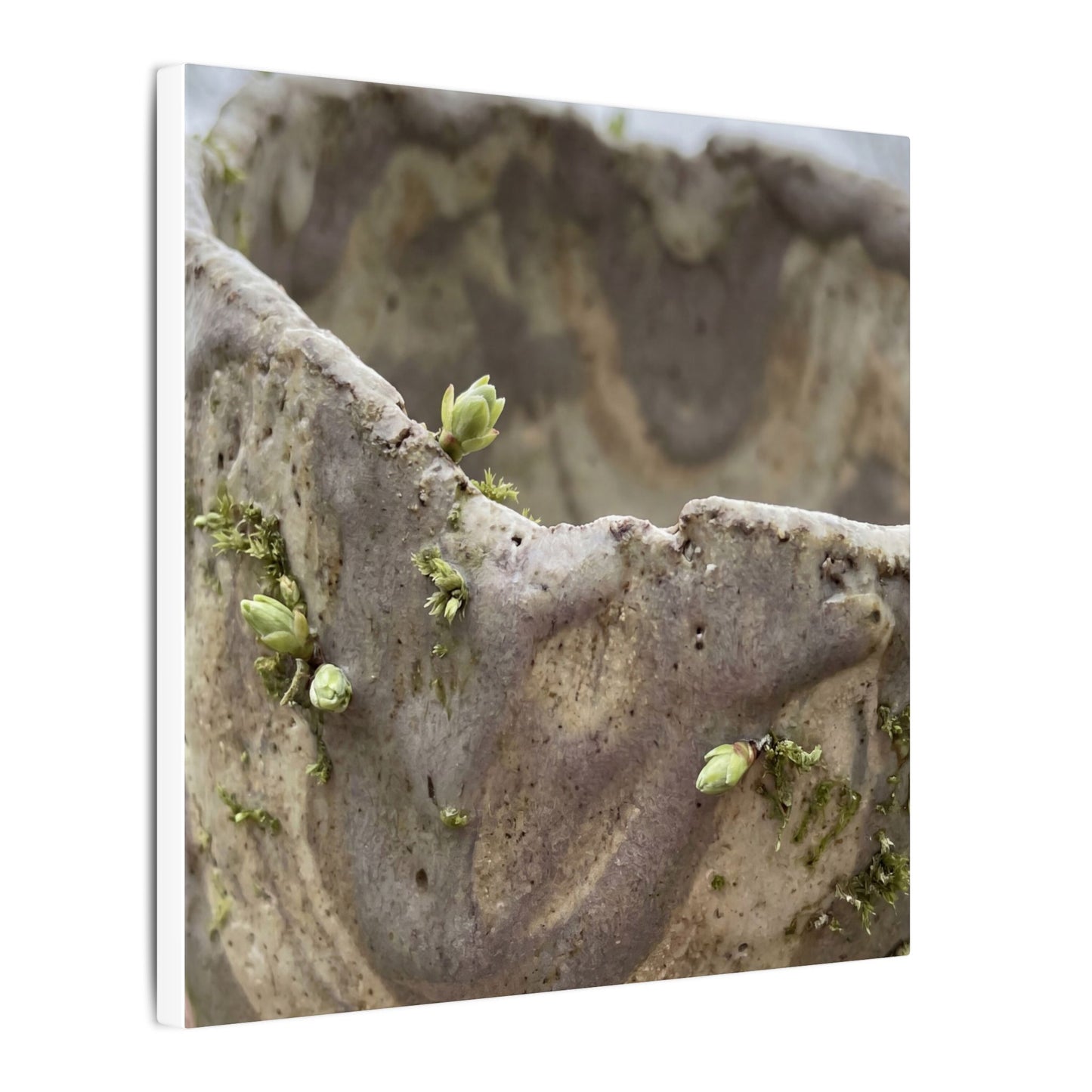Overcast Ceramic Bowl Canvas Art - Japandi Fukinsei