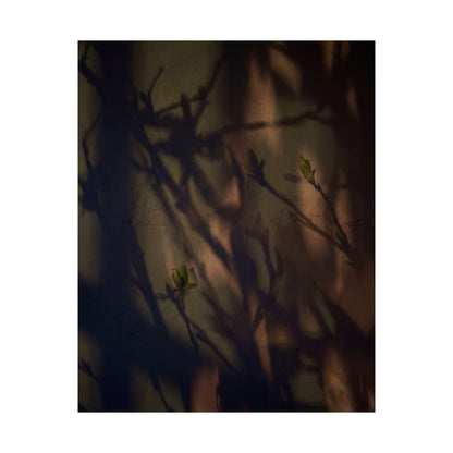 Shadow Play Spring Wall Art Print | Dark Japandi Sophisticated Design