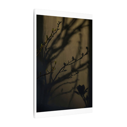 Seijaku Shadow Play Canvas Art - Dark Japandi Charcoal Ink