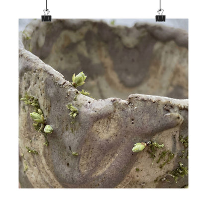 Overcast Ceramic Bowl Wall Art Print - Japandi Fukinsei