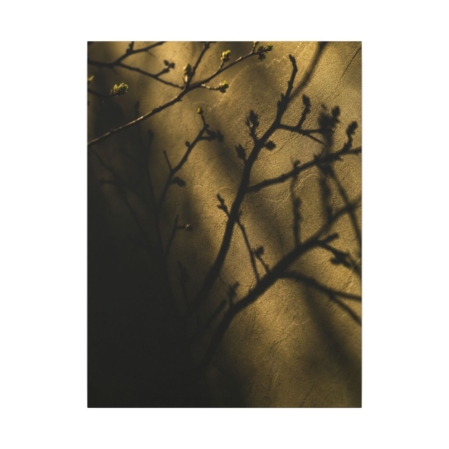 Golden Hour Shadow Play Canvas Art - Dark Japandi Seijaku