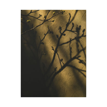 Golden Hour Shadow Play Canvas Art - Dark Japandi Seijaku