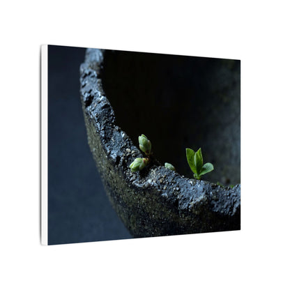 Ceramic Bowl Moody Minimal Canvas Art | Sophisticated Dark Japandi Art