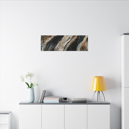 Silk Drape Winter Canvas Art | Japandi Cozy Design