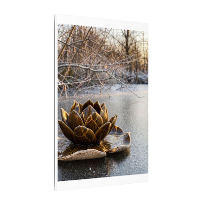 Lotus Flower Gold Repair Canvas Art | Beautiful Kintsugi Art