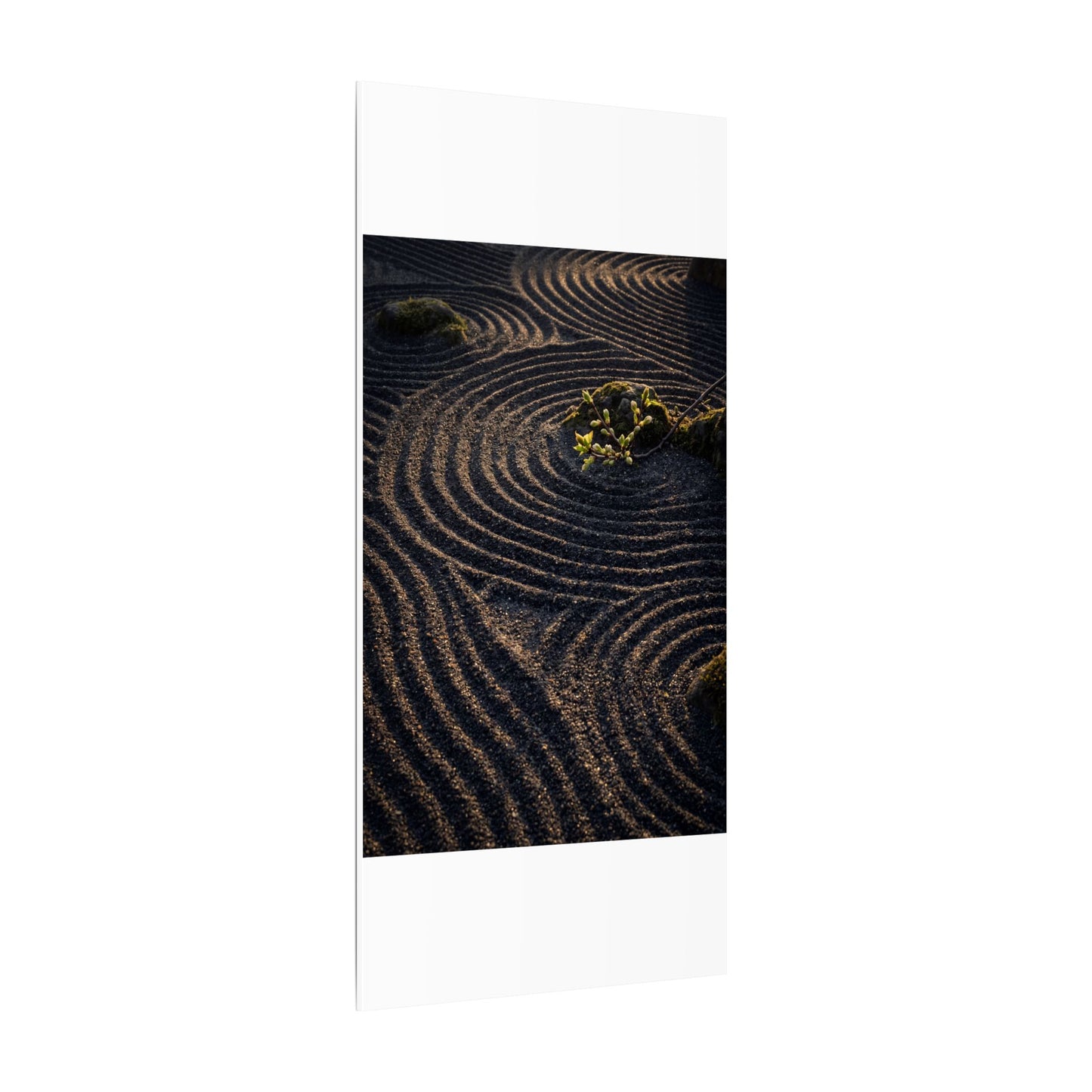 Spring Rock Garden Shadow Zen Canvas Art | Atmospheric Decor