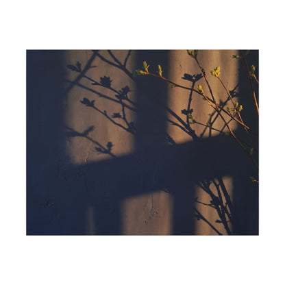 Shadow Play Canvas Art | Spring Dark Japandi Shadow Zen Art