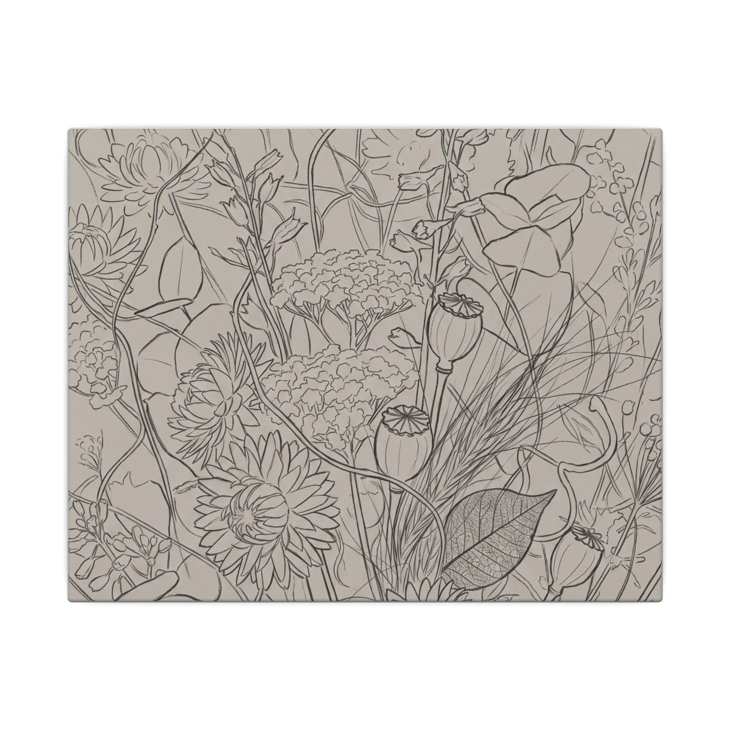 Summer Dried Flowers Minimal Line Canvas Art | Elegant Decor