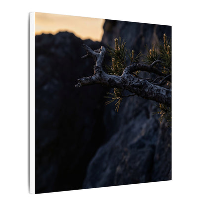Pine Tree Moody Minimal Canvas Art | Sophisticated Dark Japandi Art