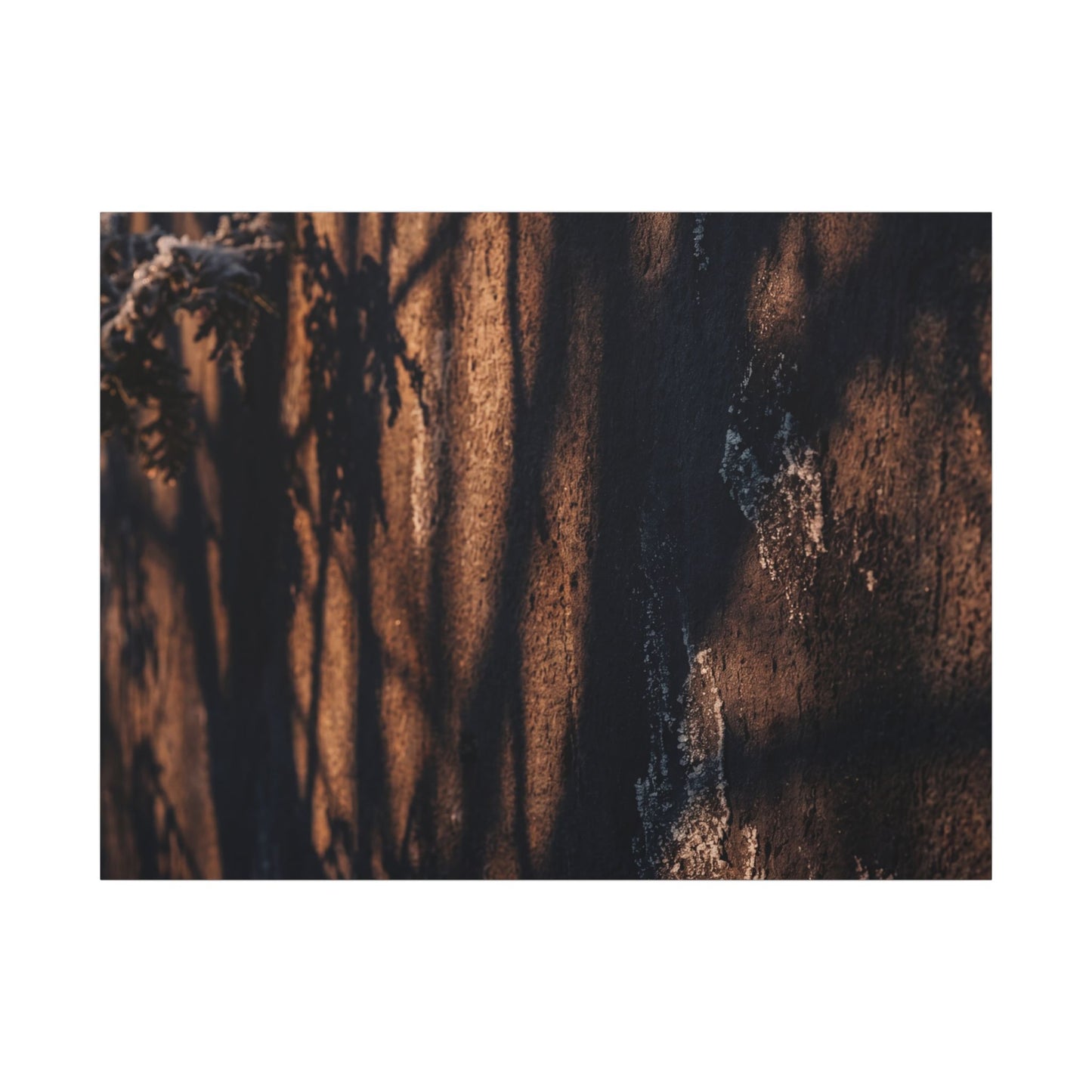 Golden Hour Shadow Play Canvas Art - Dark Japandi Fukinsei