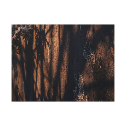 Golden Hour Shadow Play Canvas Art - Dark Japandi Fukinsei